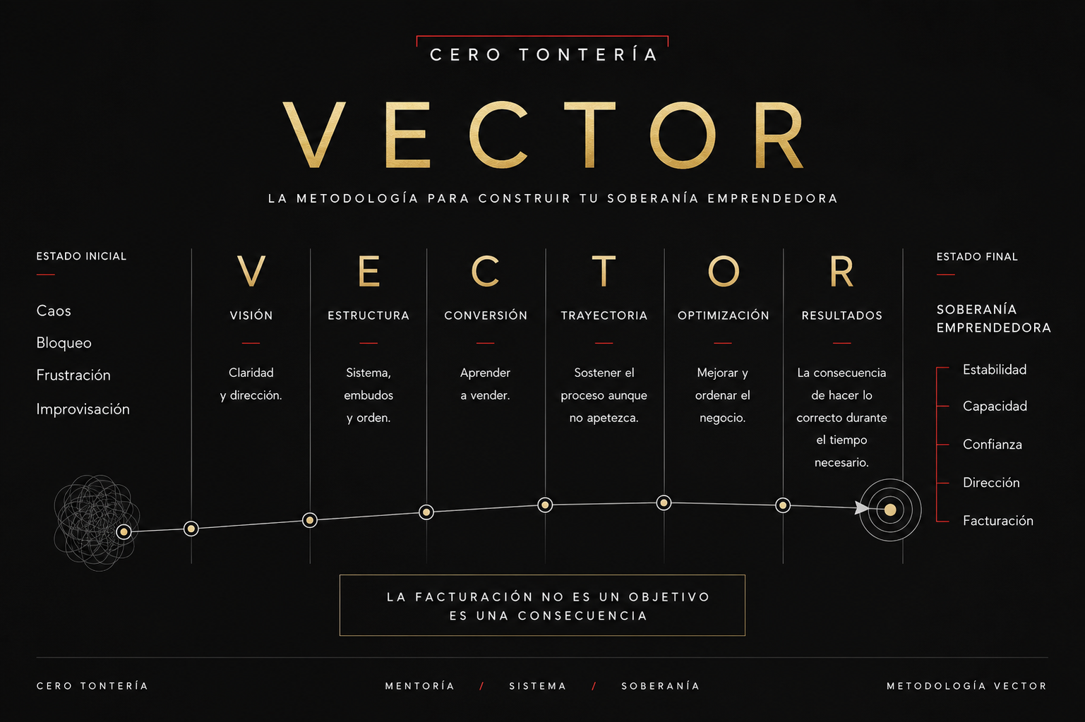 Metodología VECTOR© — Mapa de progreso